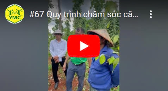 Cửa hàng vật tư nông nghiệp vỹ huyền
