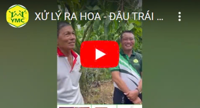 Cửa hàng vật tư nông nghiệp vỹ huyền