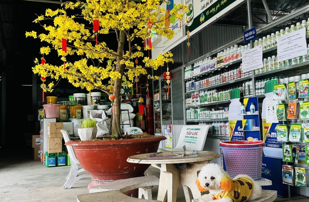 Cửa hàng vật tư nông nghiệp vỹ huyền